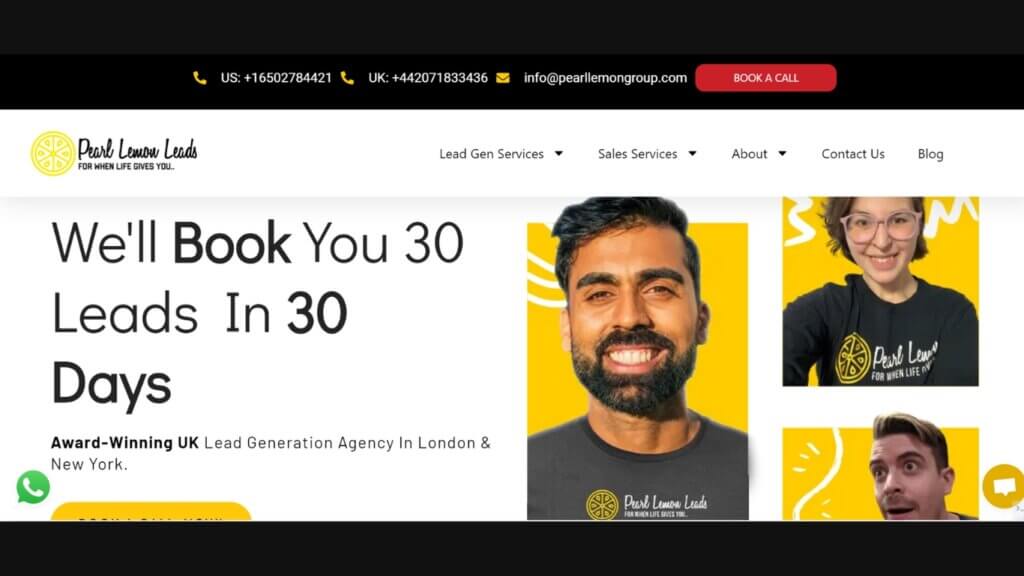 Pearl Lemon Leads: Lead Generation Company 2024